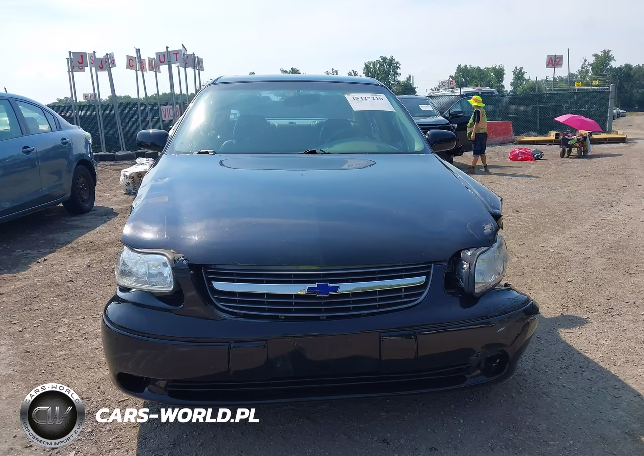 2003 Chevrolet Malibu Ls VIN:1G1NE52J73M666210 - 6
