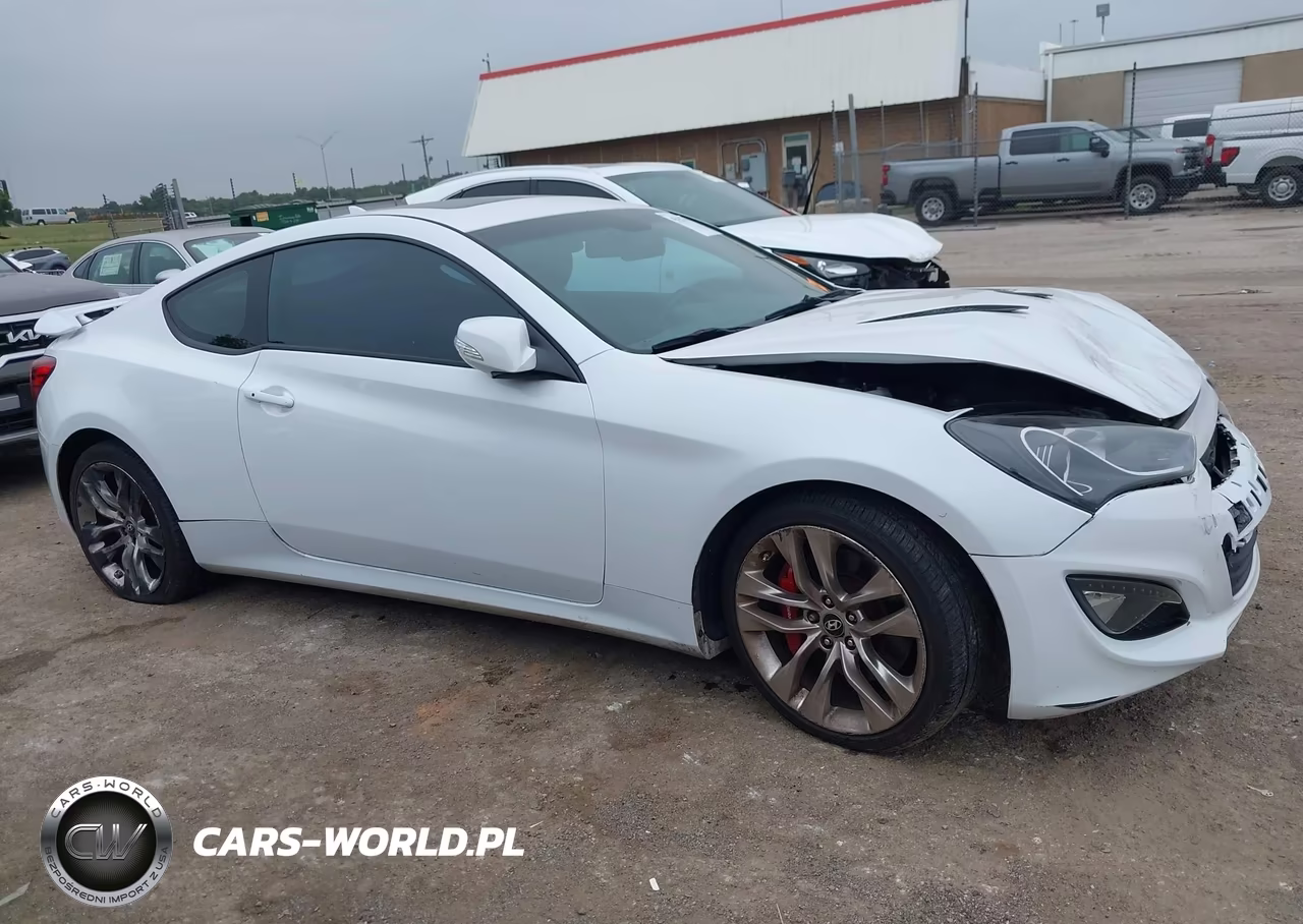 2015 Hyundai Genesis 3.8 Ultimate VIN:KMHHU6KJ2FU127605 - 13