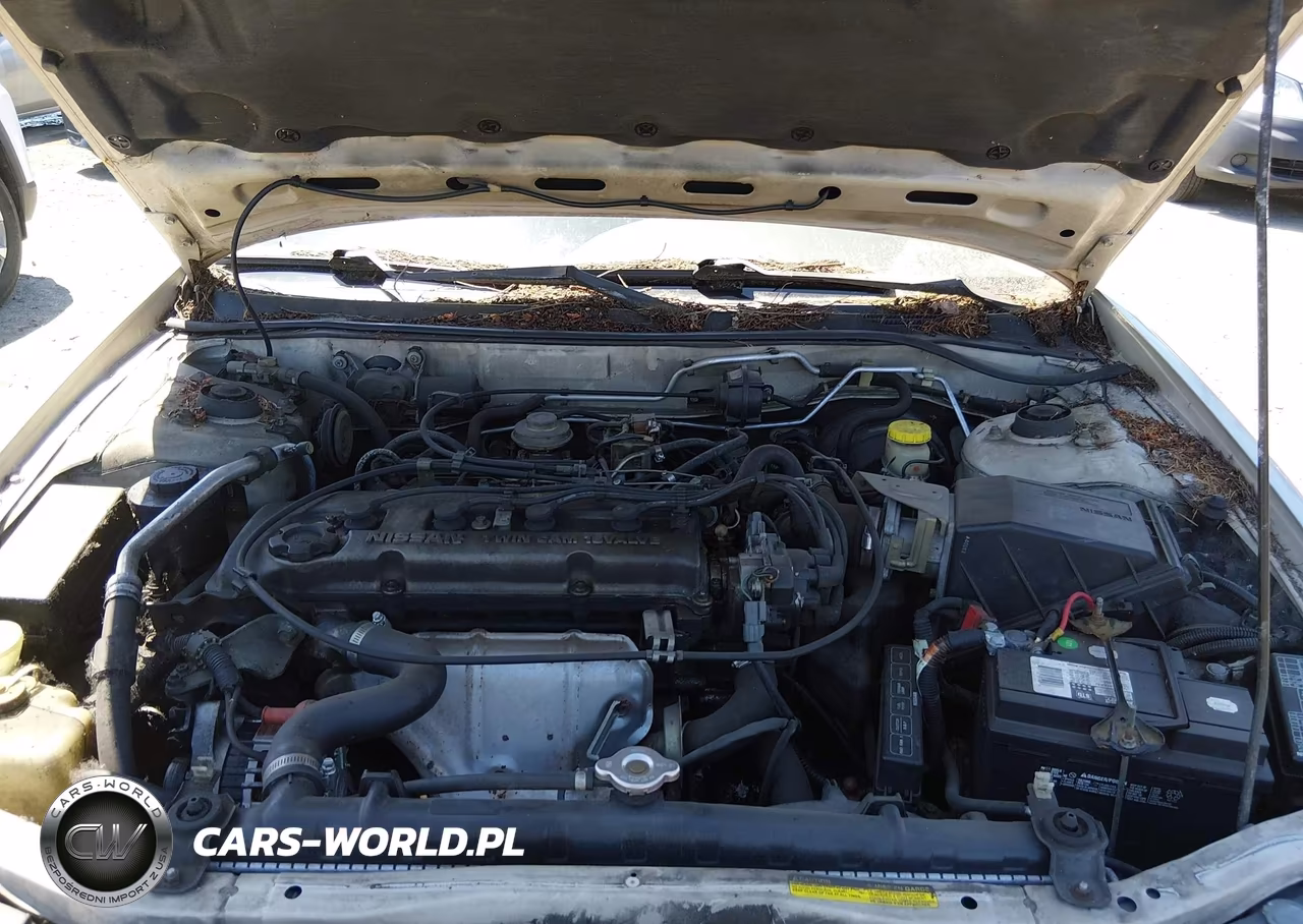 1997 Nissan Altima Gle-Gxe-Se-Xe VIN:1N4BU31D4VC259506 - 10