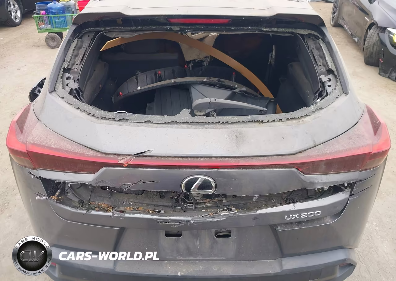 2019 Lexus Ux 200 VIN:JTHY3JBHXK2016988 - 13