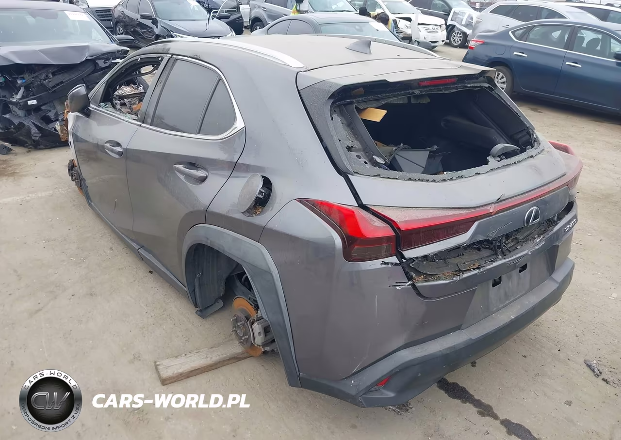 2019 Lexus Ux 200 VIN:JTHY3JBHXK2016988 - 3
