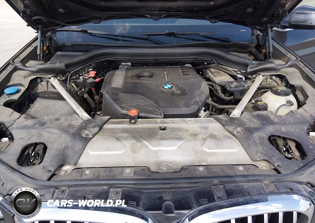 2019 BMW X3 Sdrive30I VIN:5UXTR7C50KLE96889 - 10