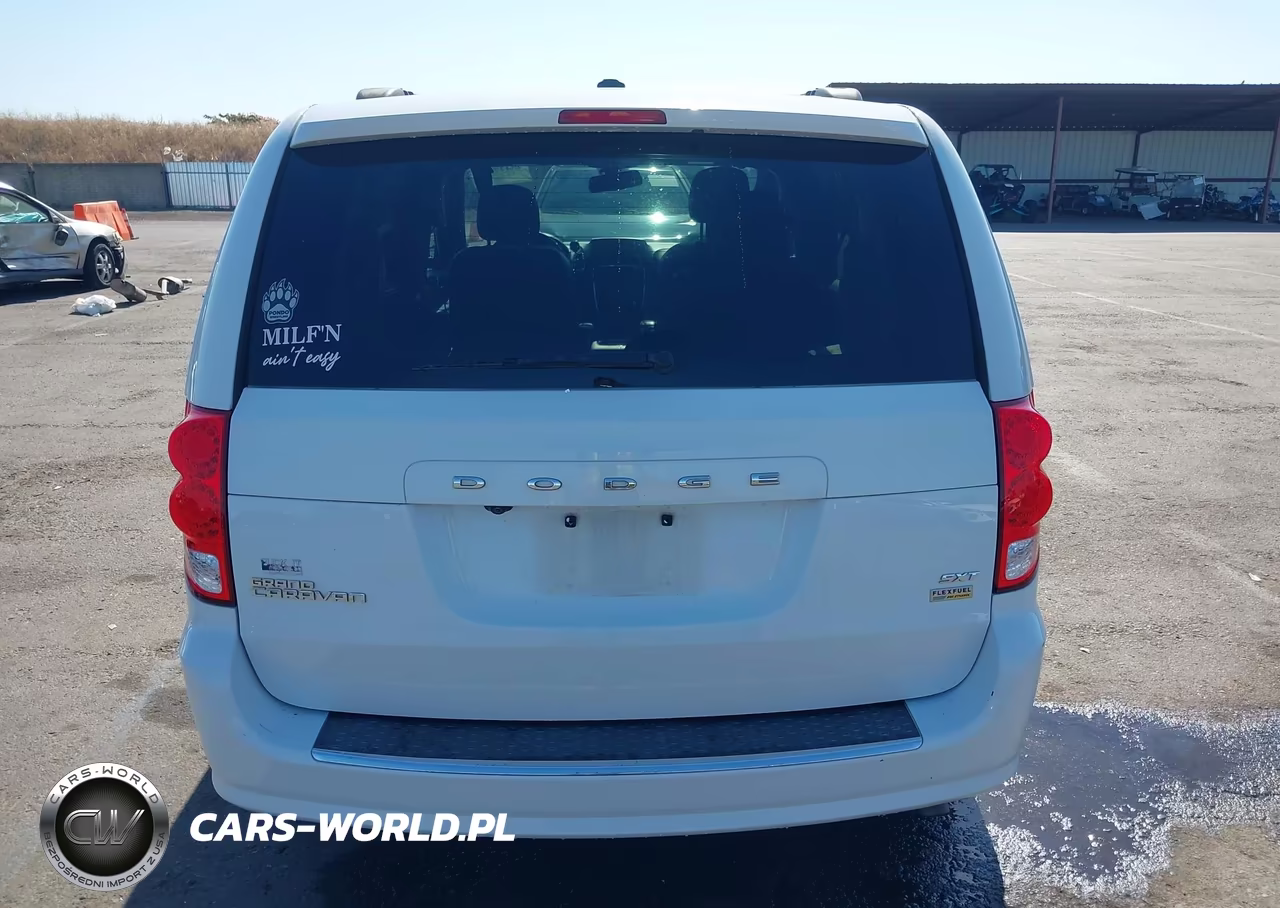 2019 Dodge Grand Caravan Sxt VIN:2C4RDGCG9KR691051 - 16