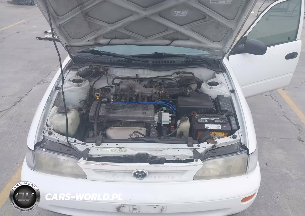 1997 Toyota Corolla Ce VIN:1NXBA02E6VZ574533 - 10