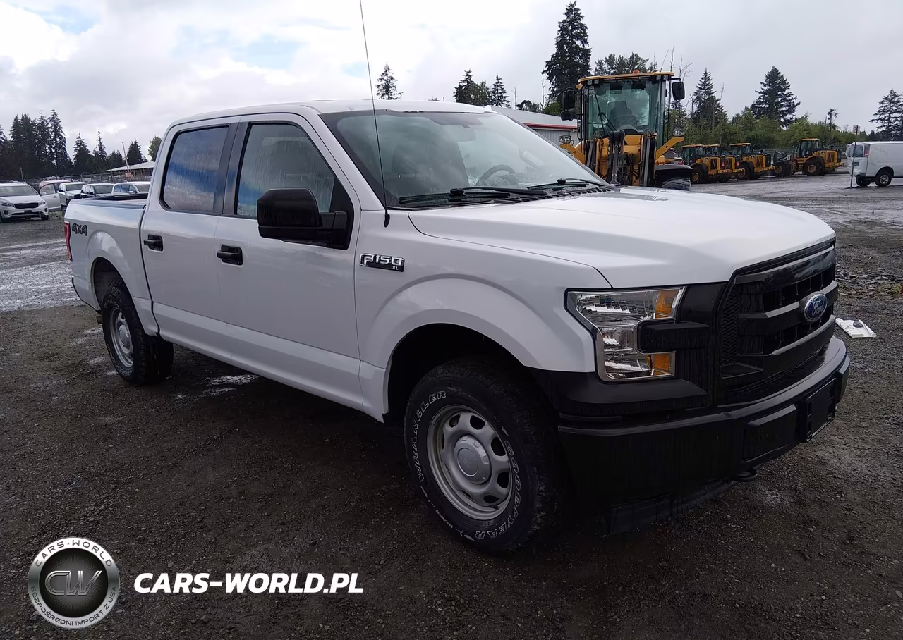 2017 Ford F-150 Xl-Xlt – zdjęcie 1 z 16