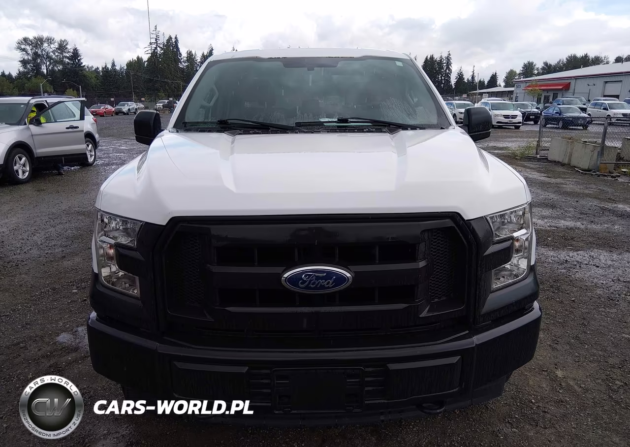 2017 Ford F-150 Xl-Xlt VIN:1FTEW1E87HKE26325 - 12