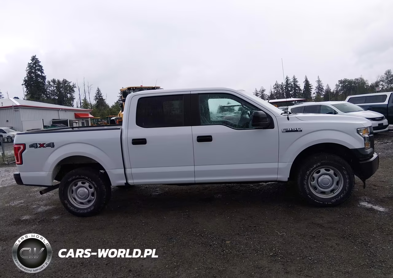 2017 Ford F-150 Xl-Xlt VIN:1FTEW1E87HKE26325 - 13