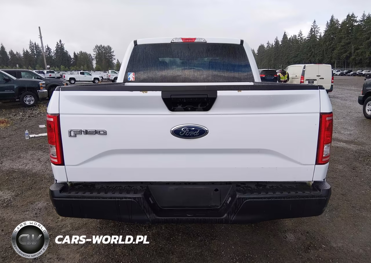 2017 Ford F-150 Xl-Xlt VIN:1FTEW1E87HKE26325 - 16