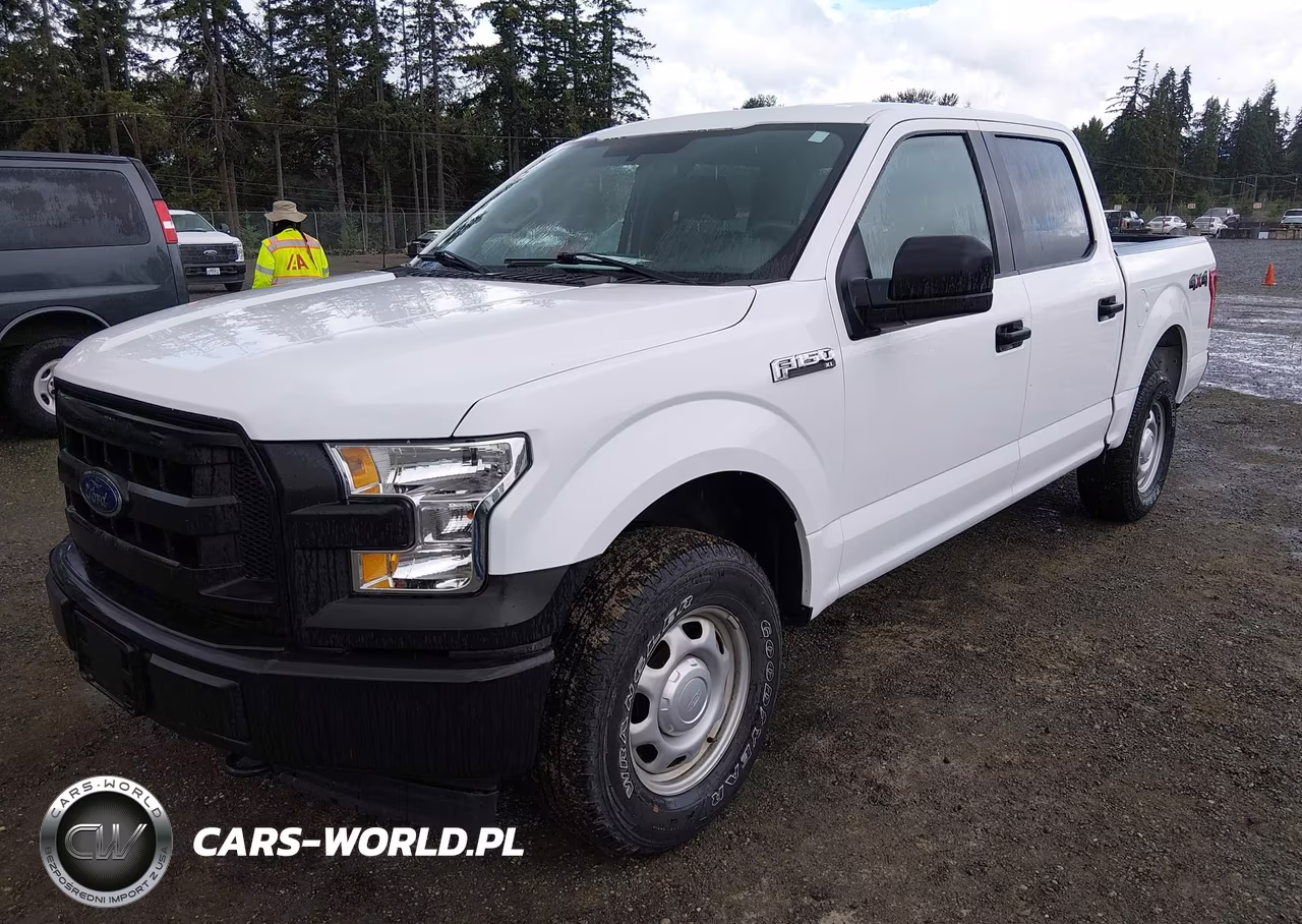 2017 Ford F-150 Xl-Xlt VIN:1FTEW1E87HKE26325 - 2