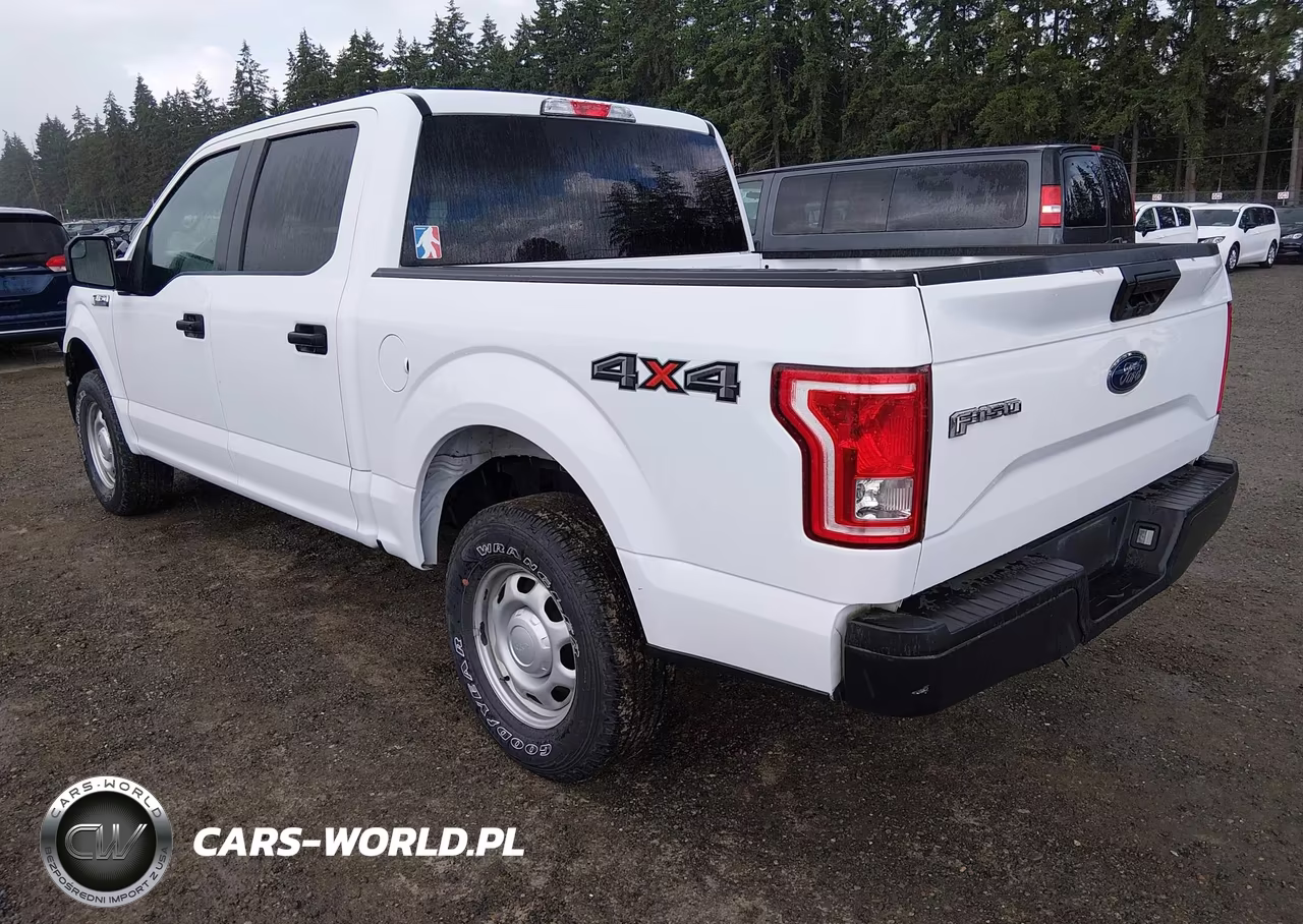2017 Ford F-150 Xl-Xlt VIN:1FTEW1E87HKE26325 - 3
