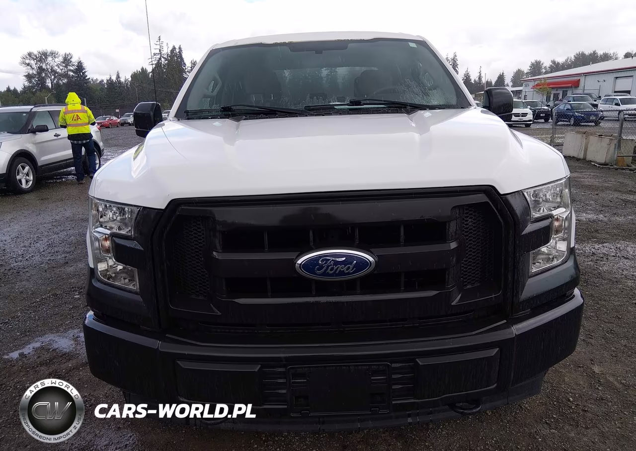 2017 Ford F-150 Xl-Xlt VIN:1FTEW1E87HKE26325 - 6