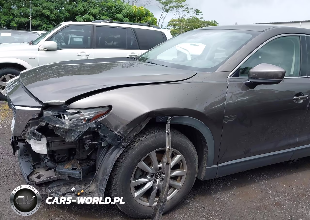 2018 Mazda Cx-9 Touring VIN:JM3TCACY0J0203040 - 17