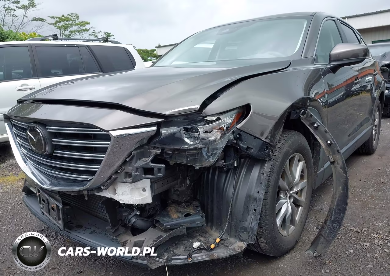 2018 Mazda Cx-9 Touring VIN:JM3TCACY0J0203040 - 6