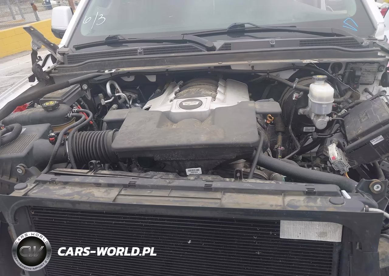 2019 Cadillac Escalade Premium Luxury VIN:1GYS4CKJ6KR259508 - 10