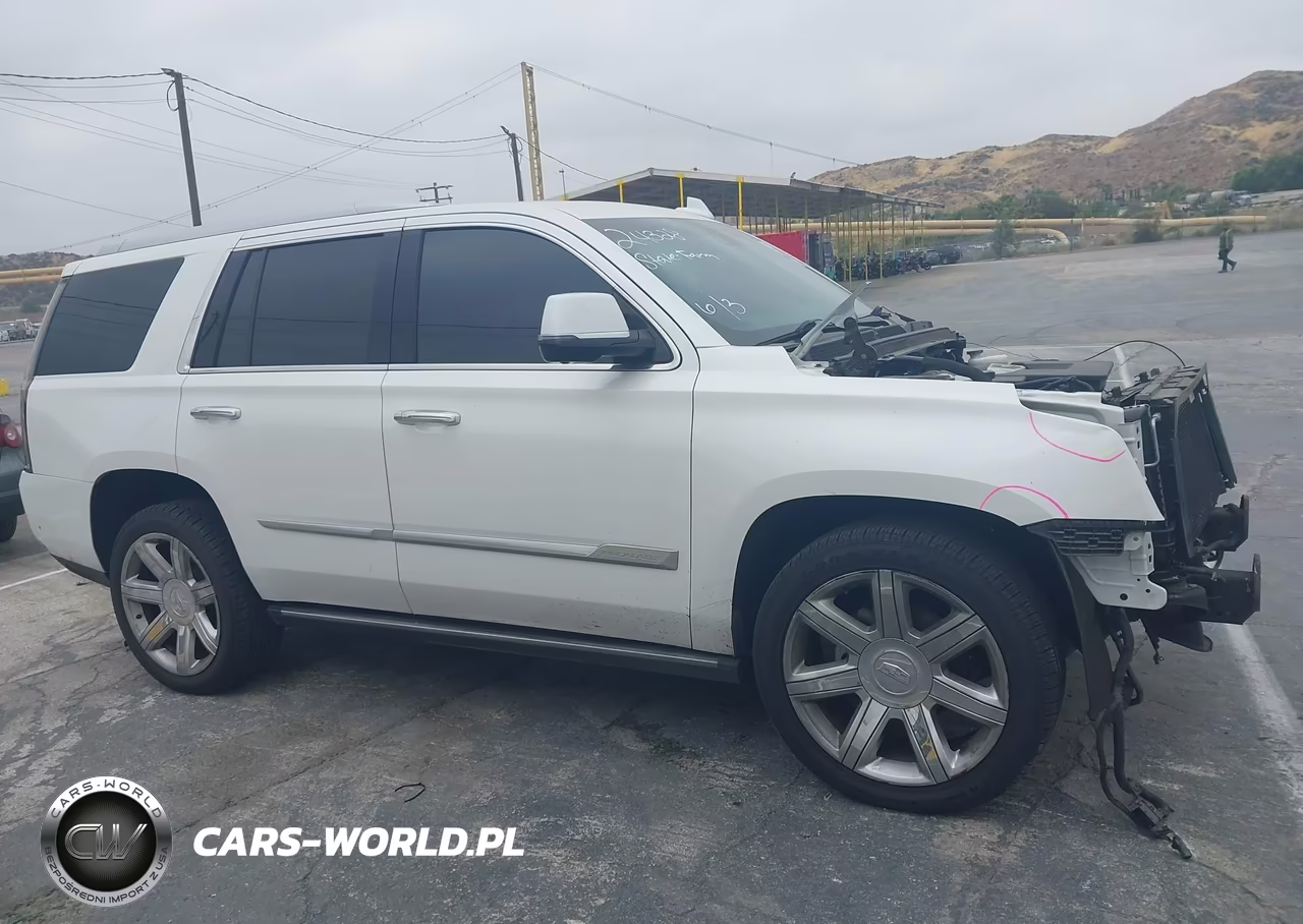 2019 Cadillac Escalade Premium Luxury VIN:1GYS4CKJ6KR259508 - 14