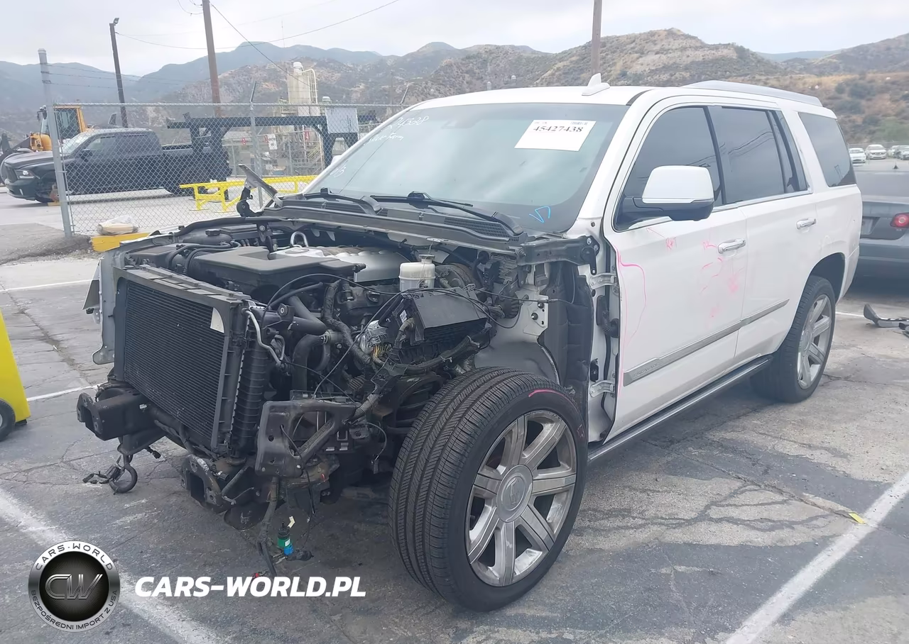 2019 Cadillac Escalade Premium Luxury VIN:1GYS4CKJ6KR259508 - 2