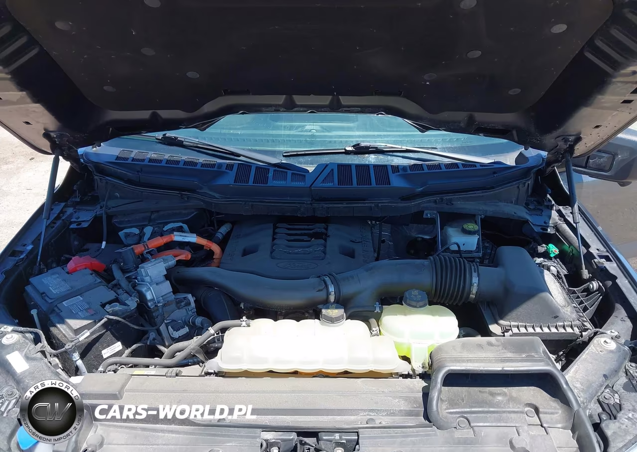 2022 Ford F-150 Xlt VIN:1FTFW1ED3NFA91053 - 10