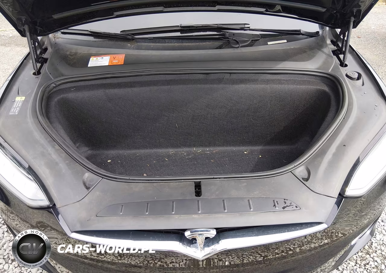 2018 Tesla Model X 100D-75D-P100D VIN:5YJXCBE21JF109453 - 10