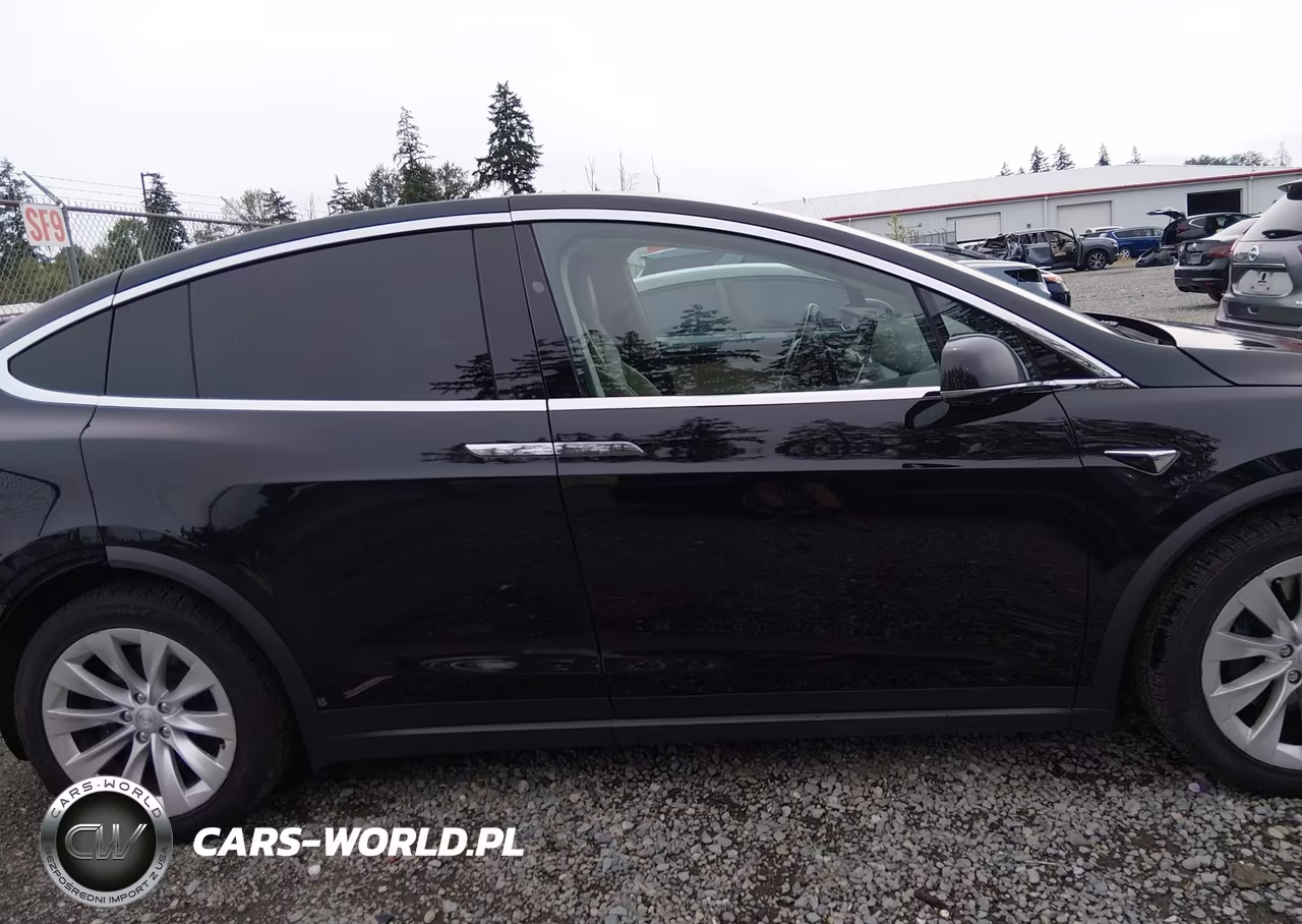 2018 Tesla Model X 100D-75D-P100D VIN:5YJXCBE21JF109453 - 14