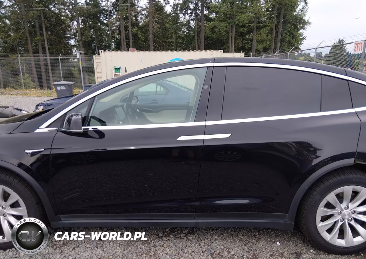 2018 Tesla Model X 100D-75D-P100D VIN:5YJXCBE21JF109453 - 15