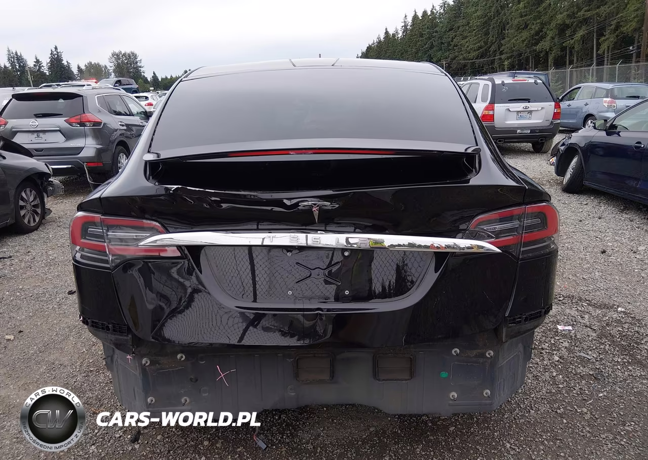 2018 Tesla Model X 100D-75D-P100D VIN:5YJXCBE21JF109453 - 17