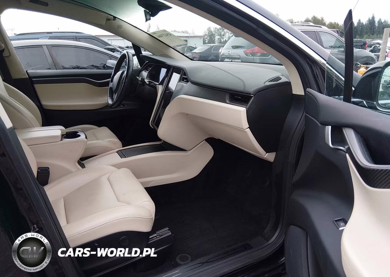 2018 Tesla Model X 100D-75D-P100D VIN:5YJXCBE21JF109453 - 20