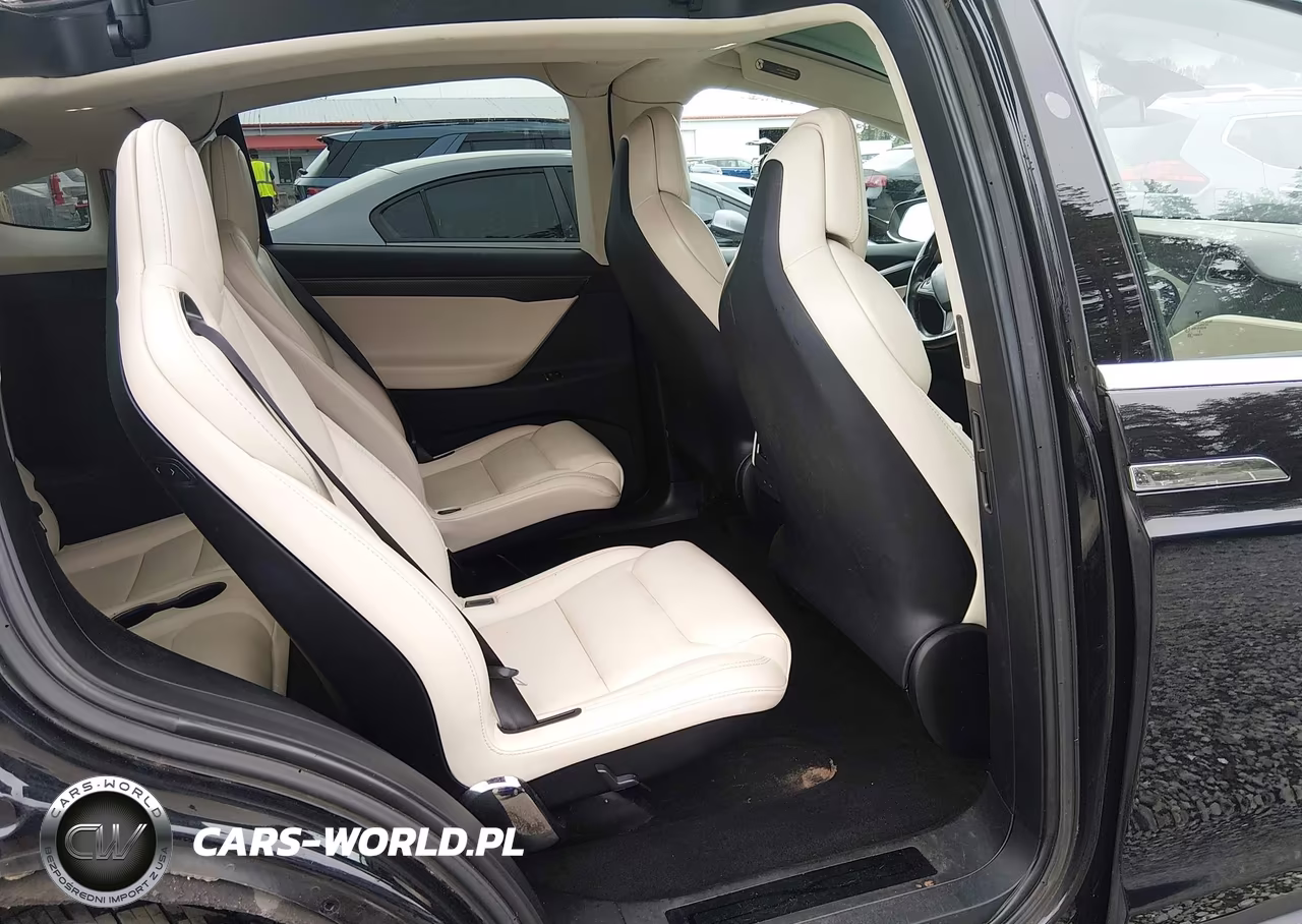 2018 Tesla Model X 100D-75D-P100D VIN:5YJXCBE21JF109453 - 21