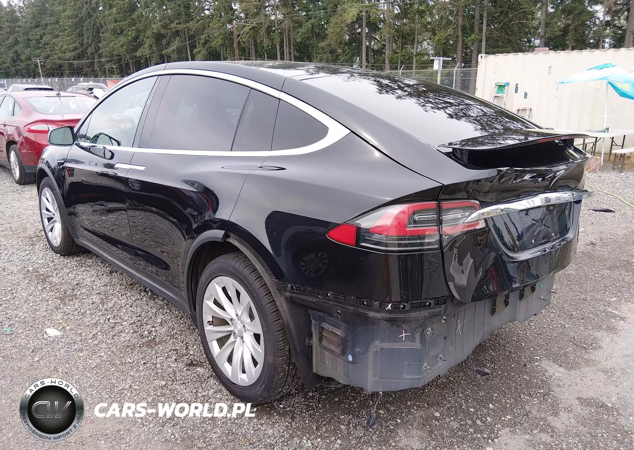 2018 Tesla Model X 100D-75D-P100D VIN:5YJXCBE21JF109453 - 3