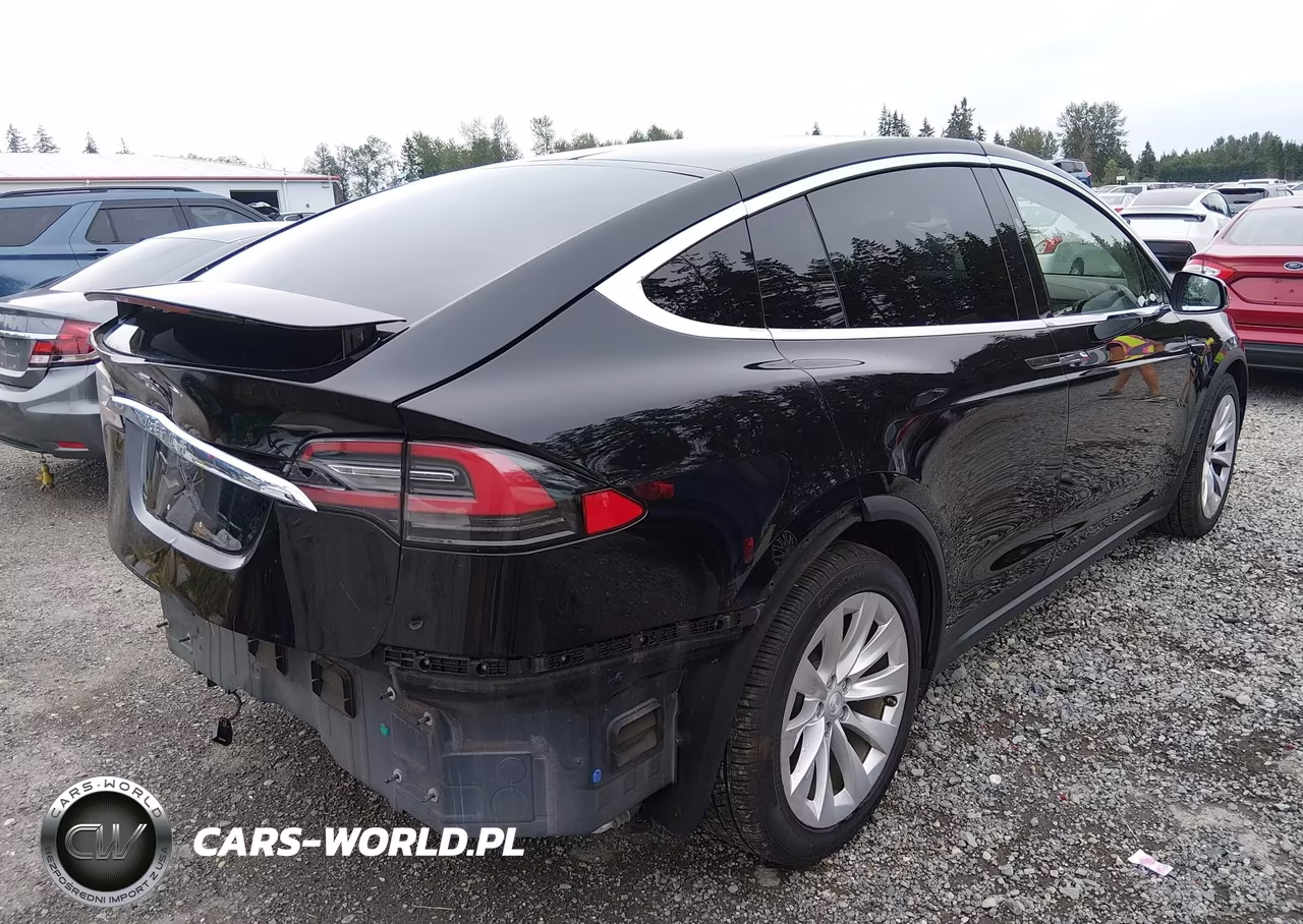 2018 Tesla Model X 100D-75D-P100D VIN:5YJXCBE21JF109453 - 4