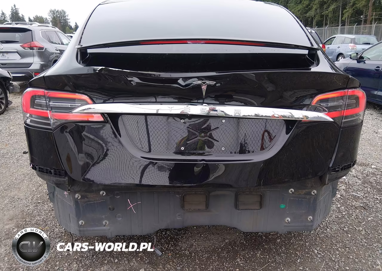 2018 Tesla Model X 100D-75D-P100D VIN:5YJXCBE21JF109453 - 6