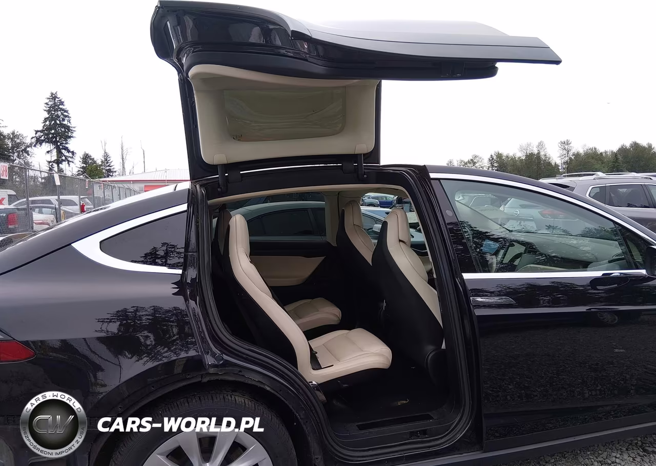 2018 Tesla Model X 100D-75D-P100D VIN:5YJXCBE21JF109453 - 8