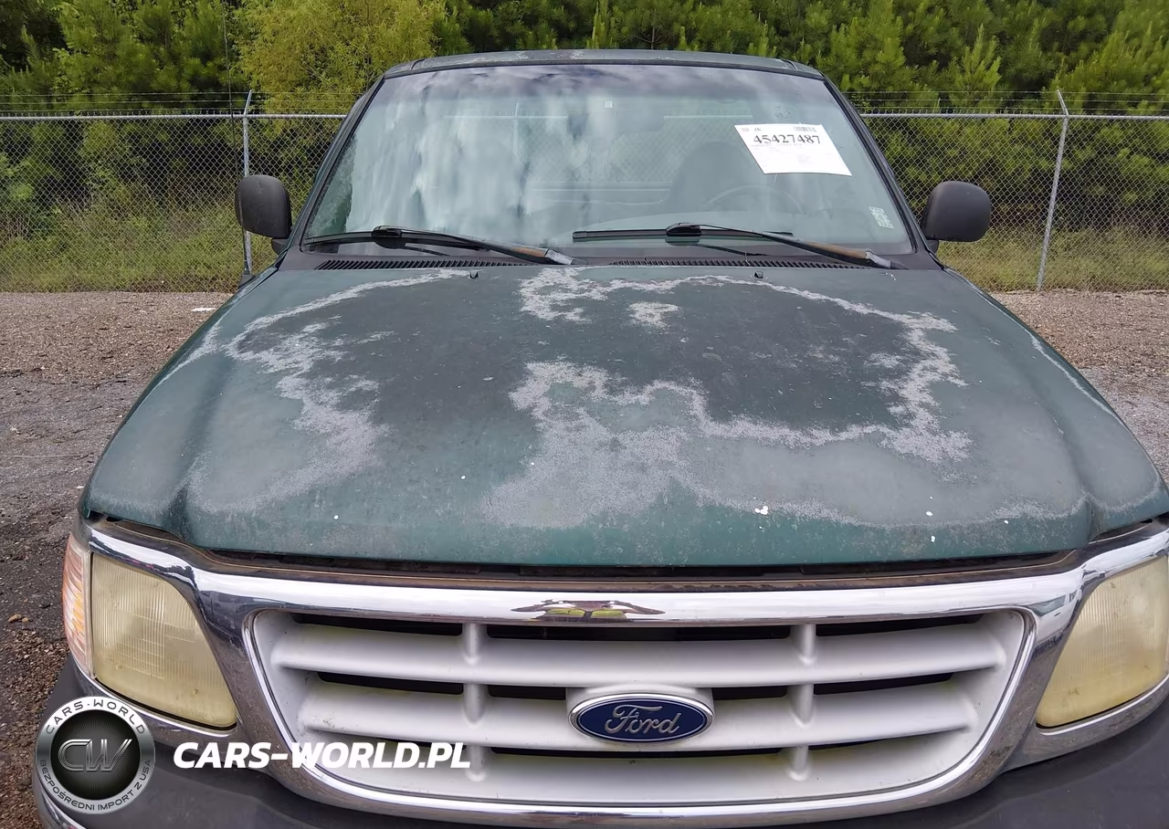 1999 Ford F-150 Work Series-Xl-Xlt VIN:1FTZF1728XKA12219 - 13