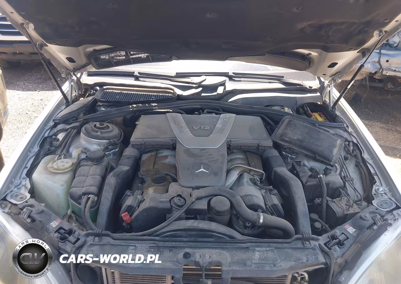 2001 Mercedes-Benz S 600 VIN:WDBNG78JX1A195512 - 10