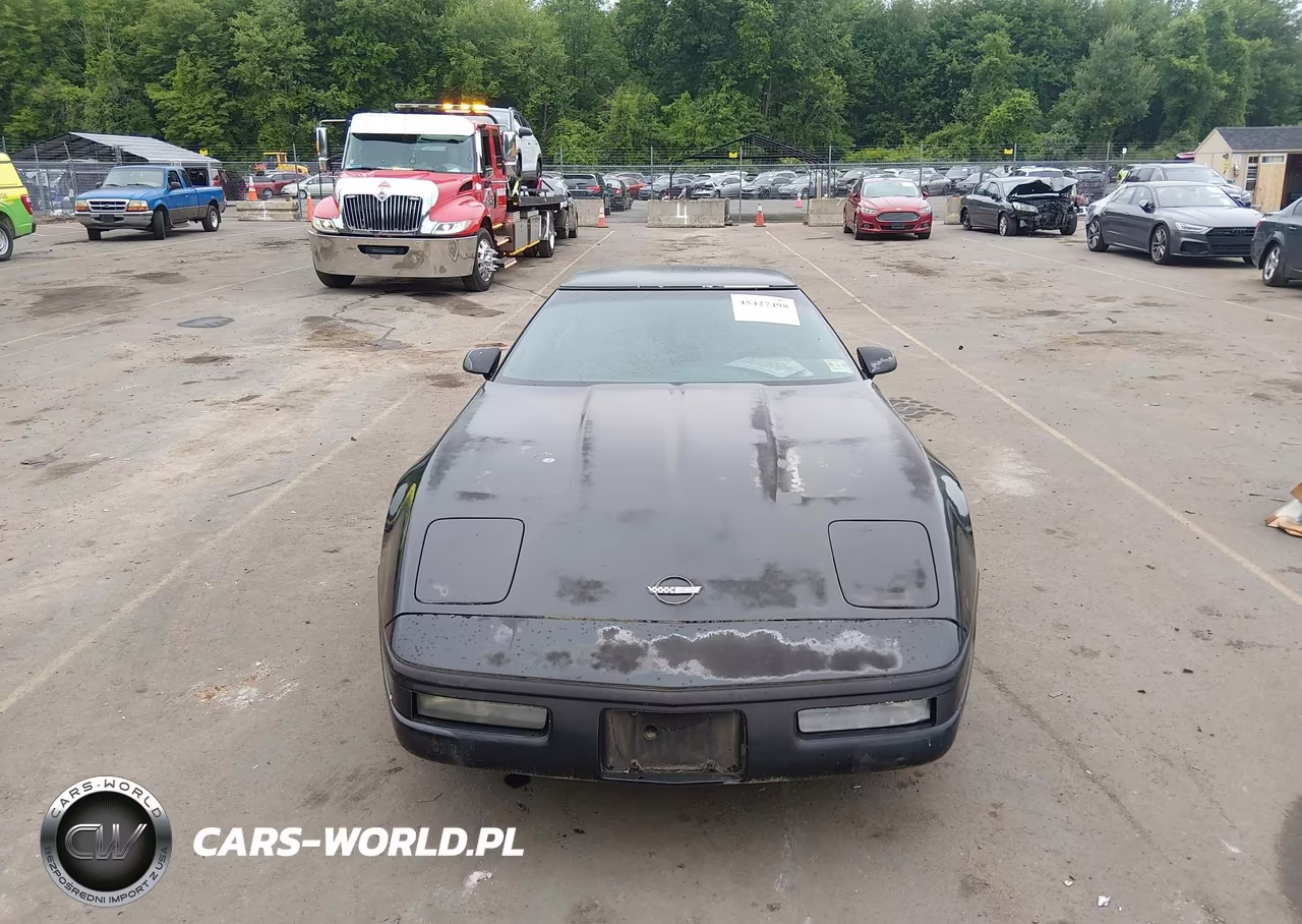 1996 Chevrolet Corvette VIN:1G1YY22P2T5101610 - 12