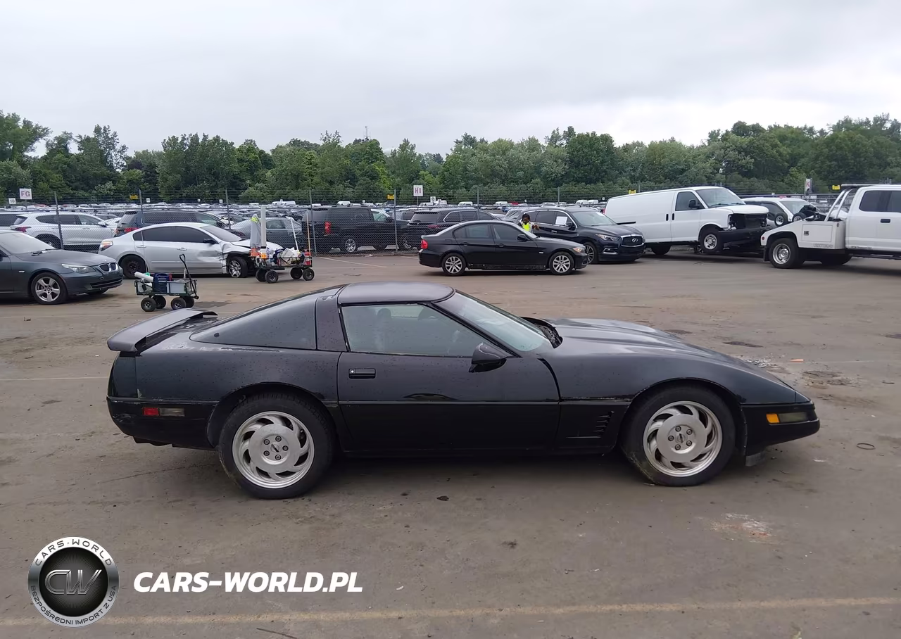 1996 Chevrolet Corvette VIN:1G1YY22P2T5101610 - 13