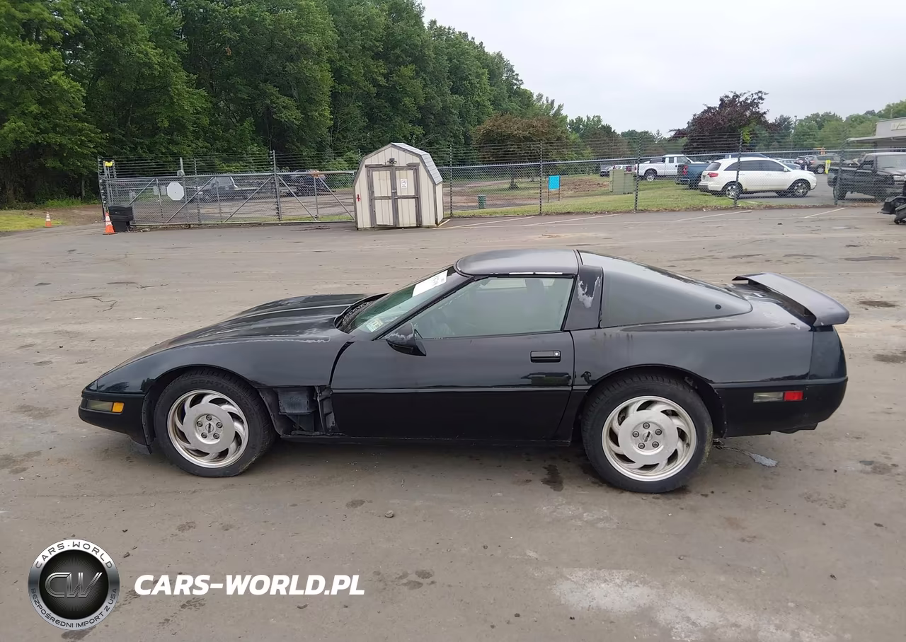 1996 Chevrolet Corvette VIN:1G1YY22P2T5101610 - 14