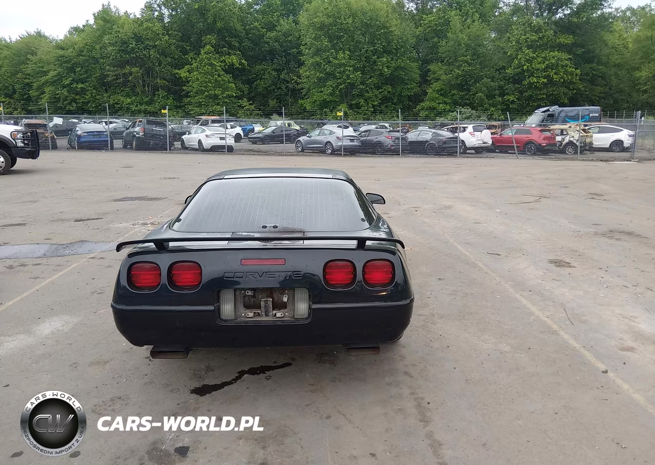 1996 Chevrolet Corvette VIN:1G1YY22P2T5101610 - 16