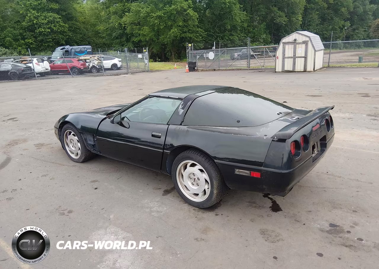1996 Chevrolet Corvette VIN:1G1YY22P2T5101610 - 3