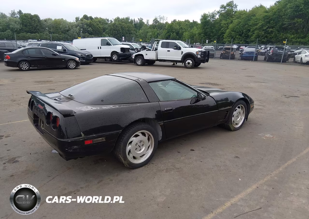 1996 Chevrolet Corvette VIN:1G1YY22P2T5101610 - 4