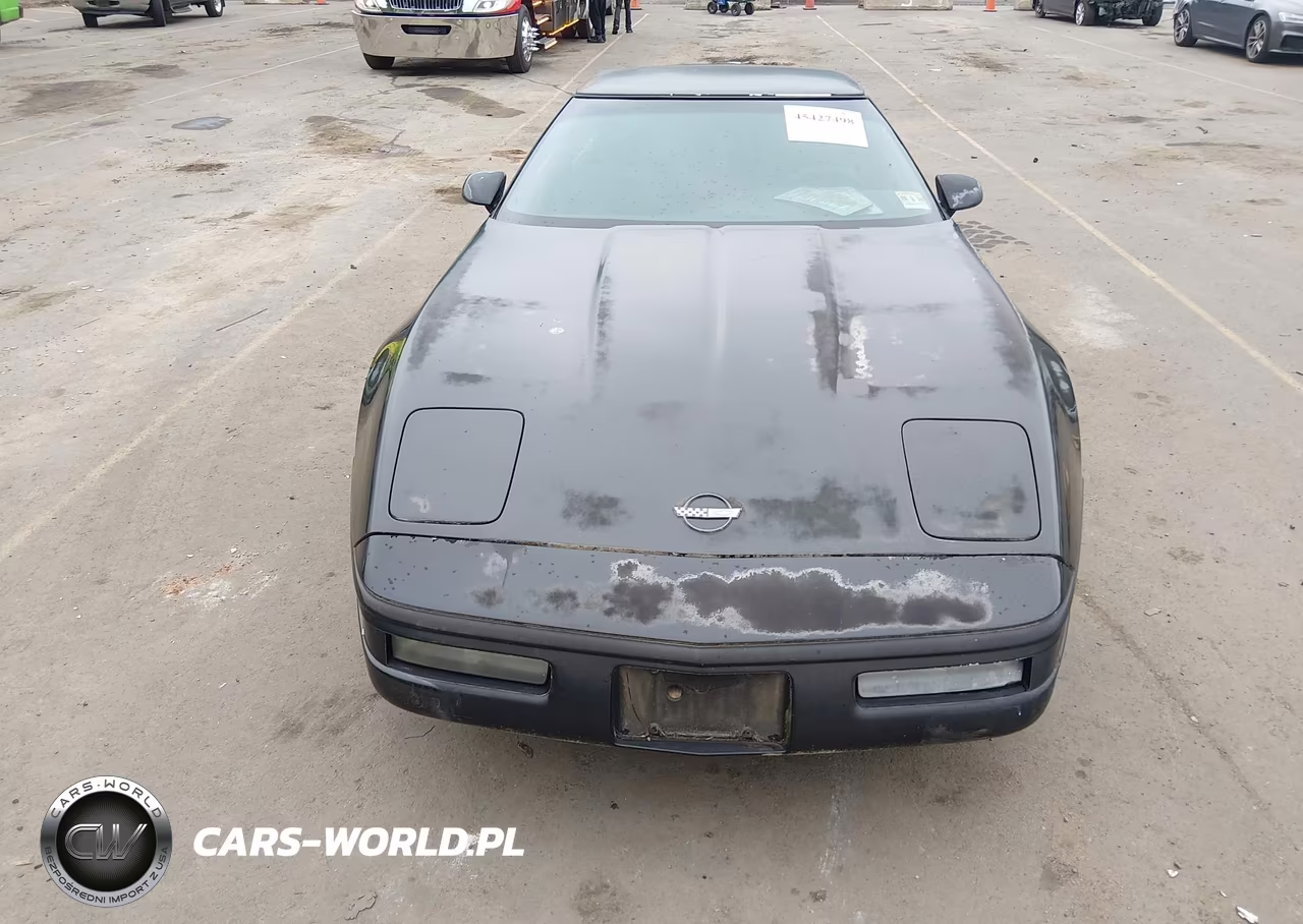 1996 Chevrolet Corvette VIN:1G1YY22P2T5101610 - 6