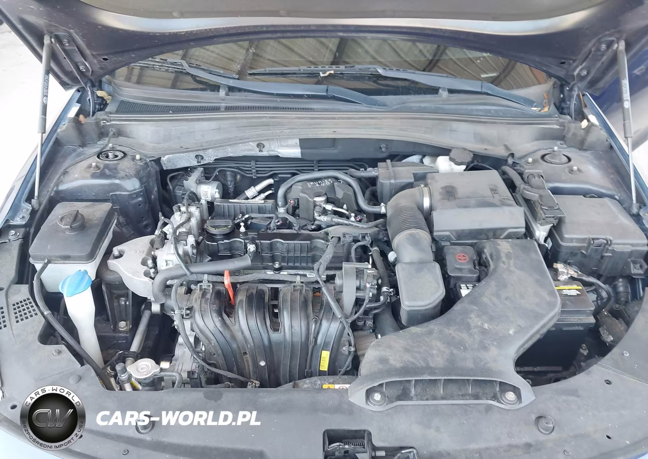 2020 Kia Optima Lx VIN:5XXGT4L34LG416137 - 10