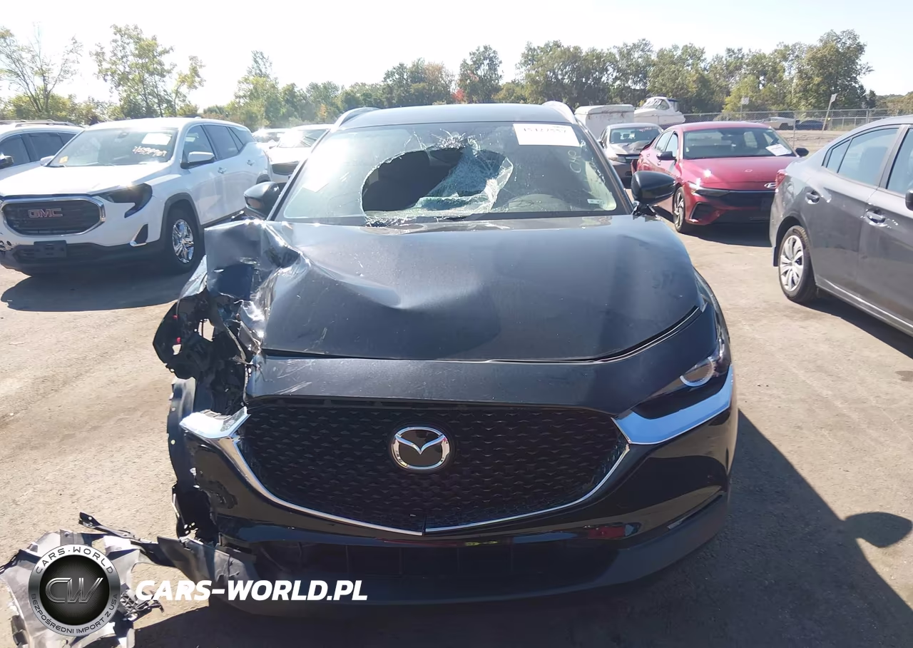 2023 Mazda Cx-30 2.5 S Preferred VIN:3MVDMBCM8PM543165 - 12
