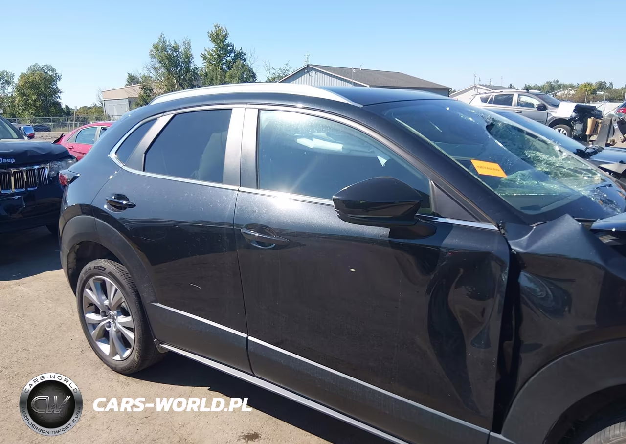 2023 Mazda Cx-30 2.5 S Preferred VIN:3MVDMBCM8PM543165 - 13