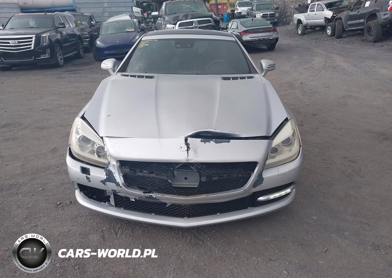 2013 Mercedes-Benz Slk 250 VIN:WDDPK4HA7DF055986 - 12