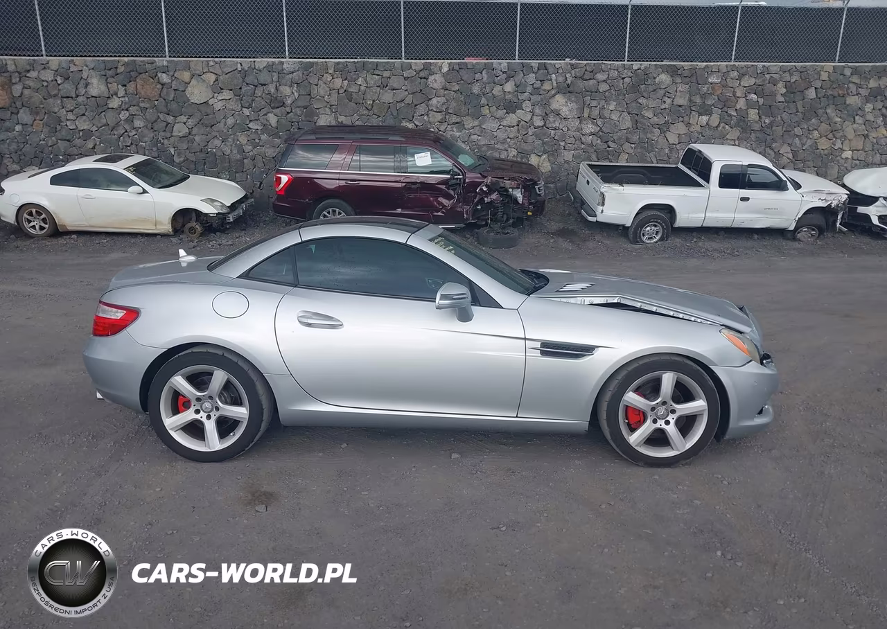 2013 Mercedes-Benz Slk 250 VIN:WDDPK4HA7DF055986 - 13