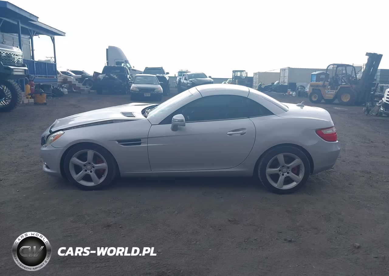 2013 Mercedes-Benz Slk 250 VIN:WDDPK4HA7DF055986 - 14