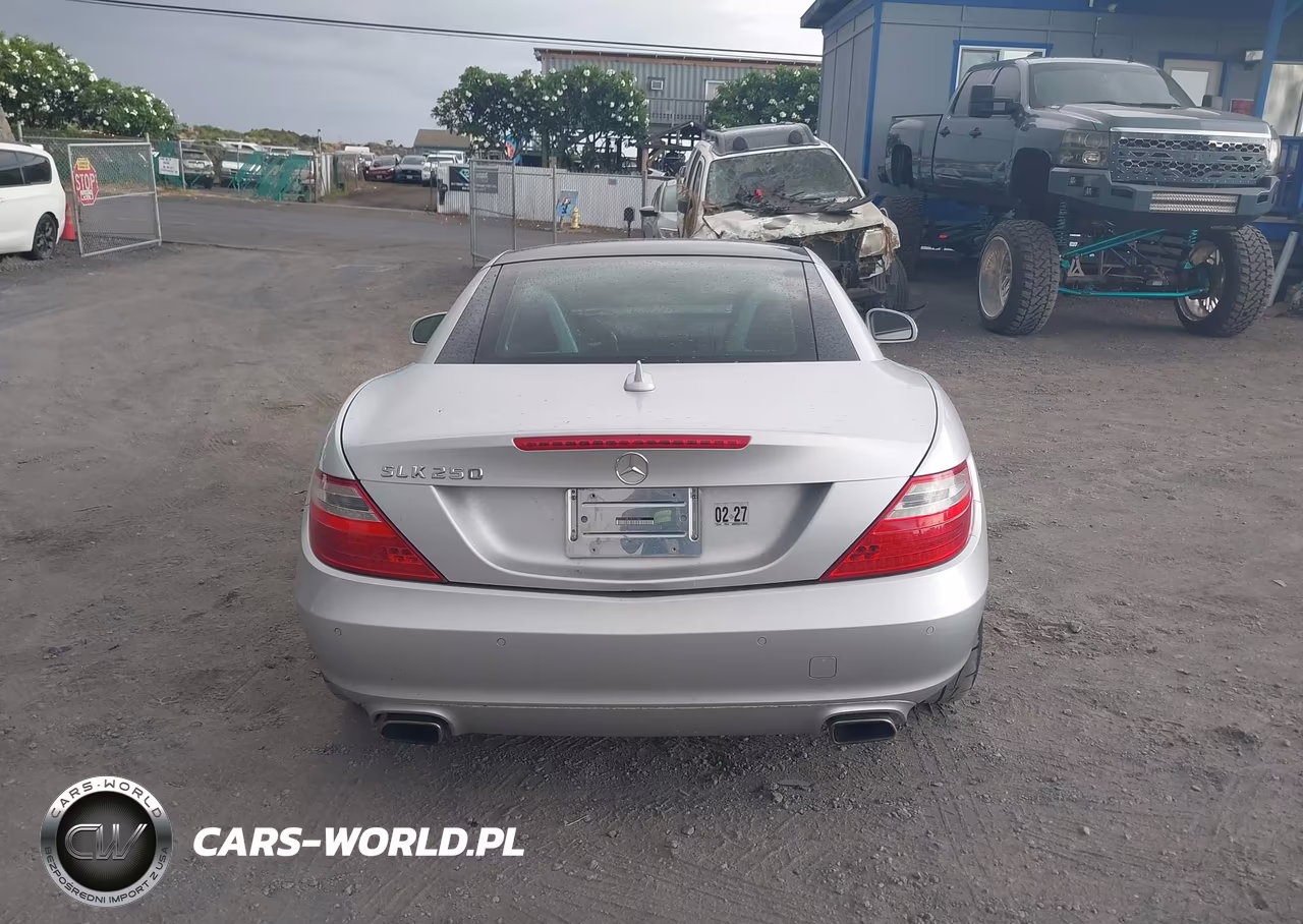 2013 Mercedes-Benz Slk 250 VIN:WDDPK4HA7DF055986 - 16