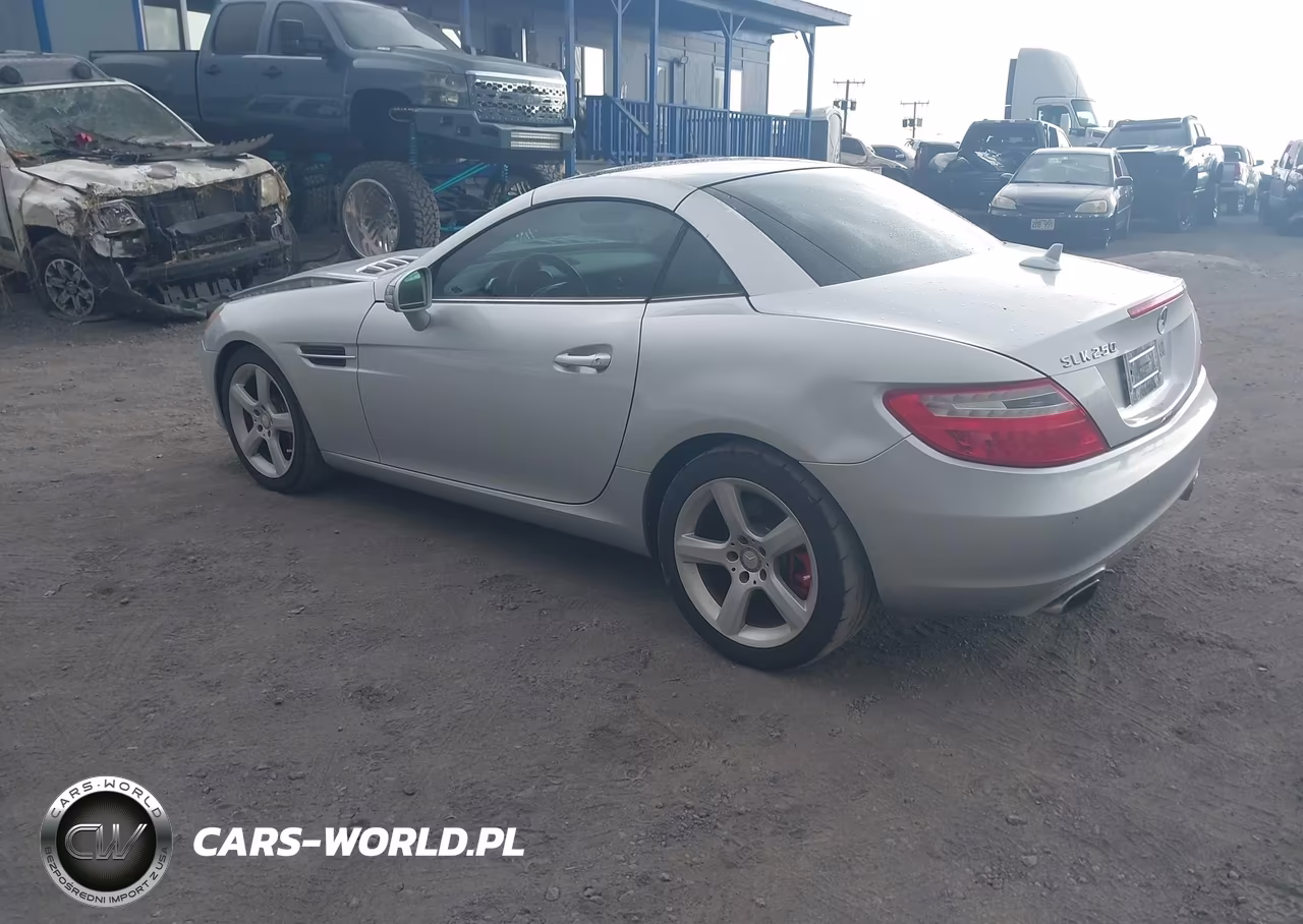 2013 Mercedes-Benz Slk 250 VIN:WDDPK4HA7DF055986 - 3