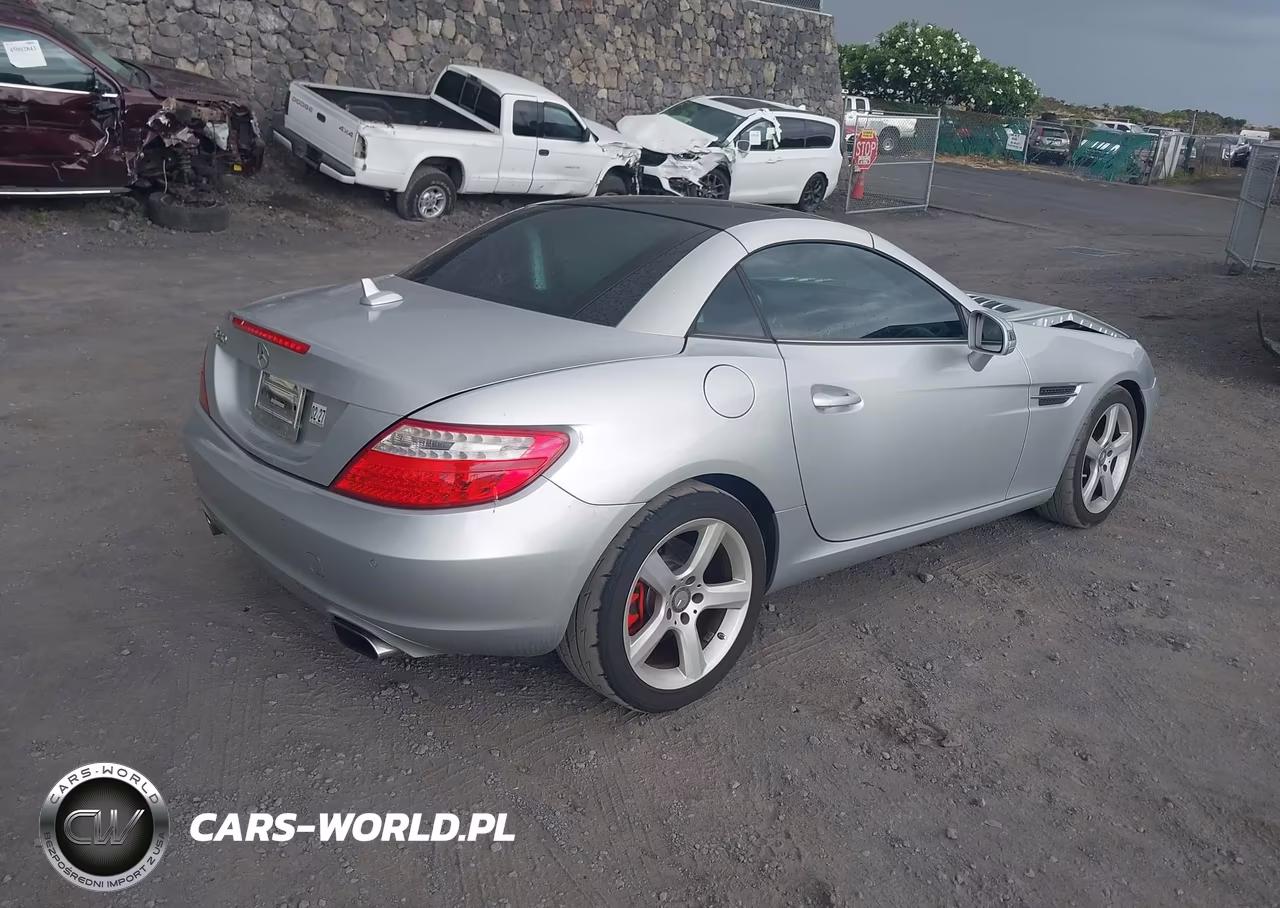 2013 Mercedes-Benz Slk 250 VIN:WDDPK4HA7DF055986 - 4