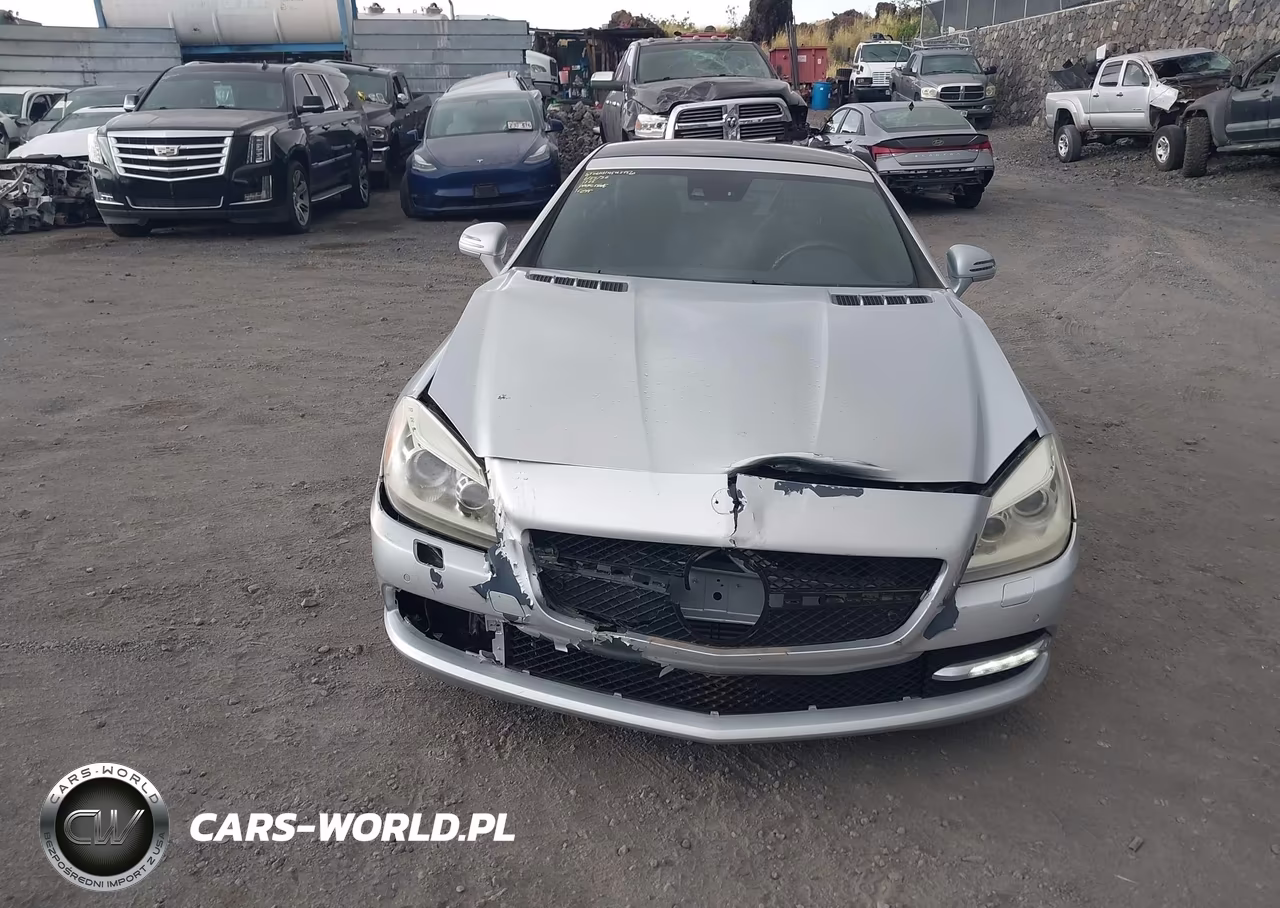 2013 Mercedes-Benz Slk 250 VIN:WDDPK4HA7DF055986 - 6